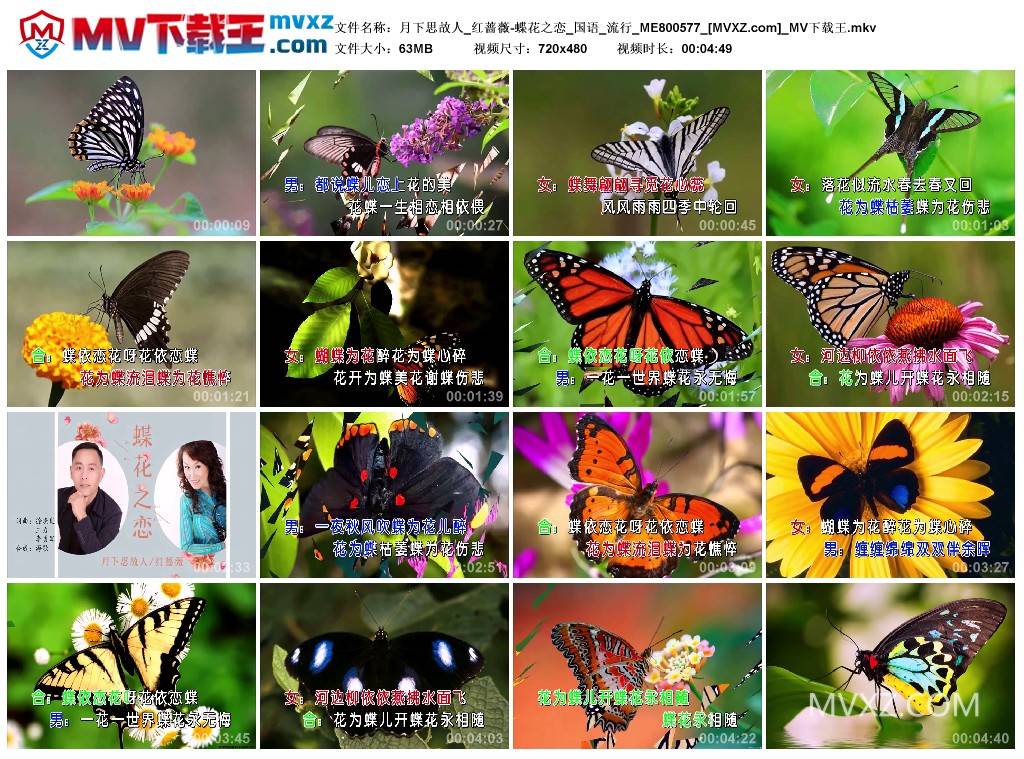 月下思故人_红蔷薇-蝶花之恋_国语_流行_ME800577